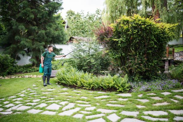 Best Local Pest Control Services  in Leonia, NJ